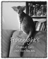 FI* Frostnight's - It&auml;maiset kissat